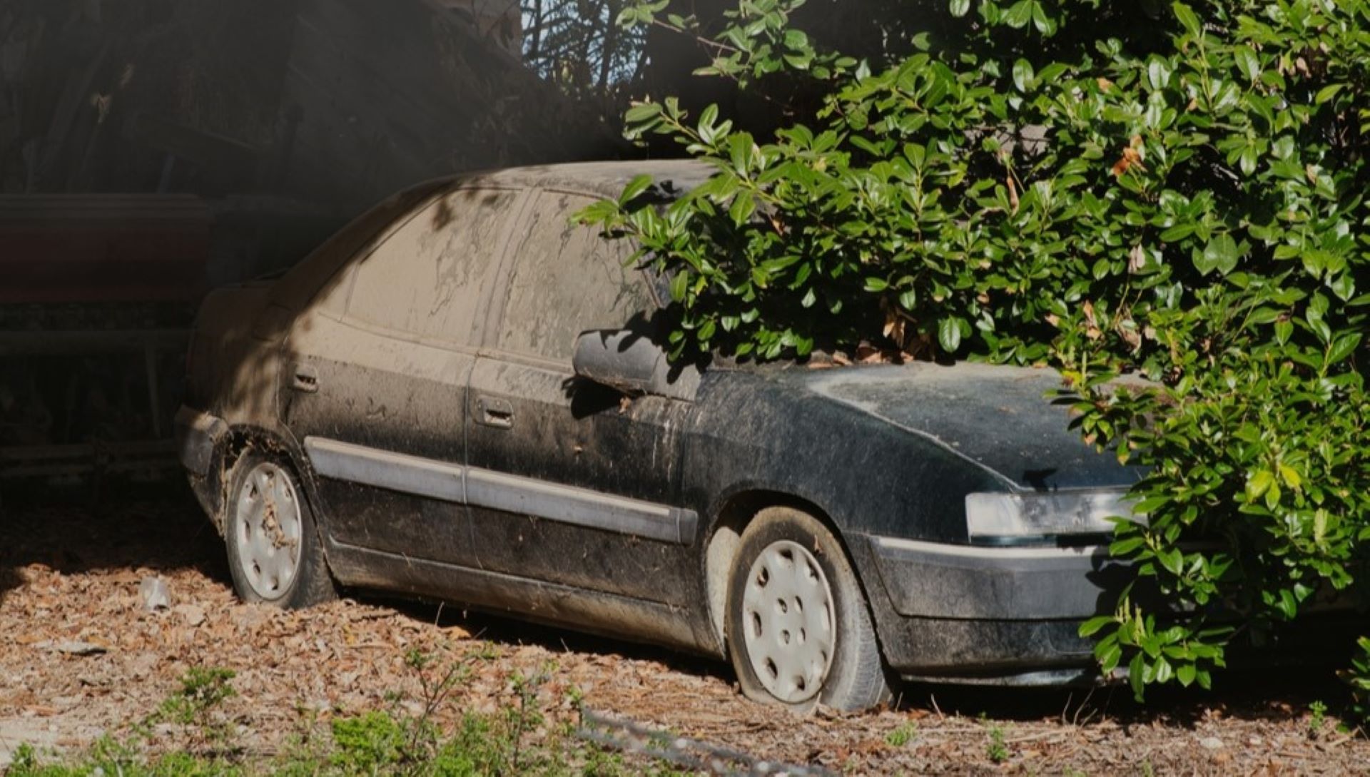 car wreckers